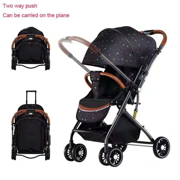 mountain buggy double stroller